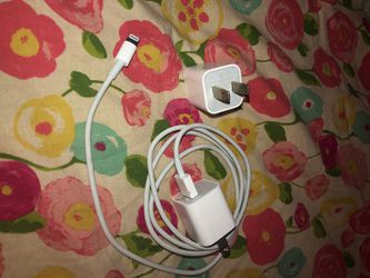 1 iPhone Wire and 2 Apple Power Adapters