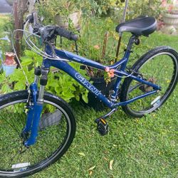 Giant Bike