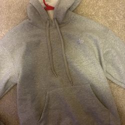 Grey alo hoodie