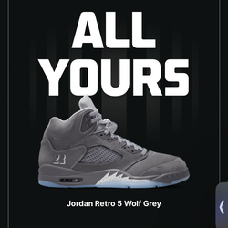 Jordan 5 wolf grey sz10
