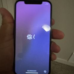 iPhone 12
