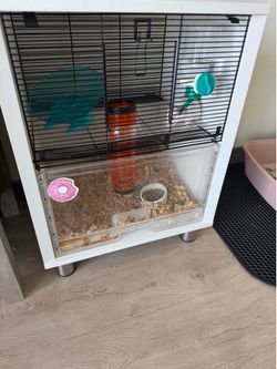 hamster cage