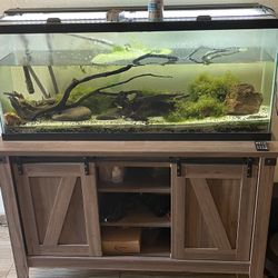 Fish Tank, Stand And Filter