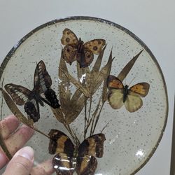 Vintage 1960s Butterfly resin plate trinket dish bowl 