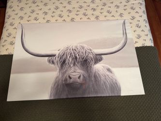 Highland Cow Canvas
