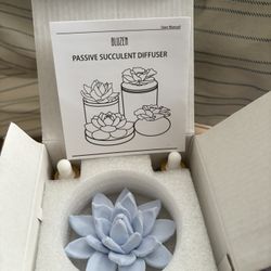 Bluzen Ceramic Succulent Diffuser 