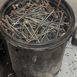 40D (5 in.) Bright Common Nail.