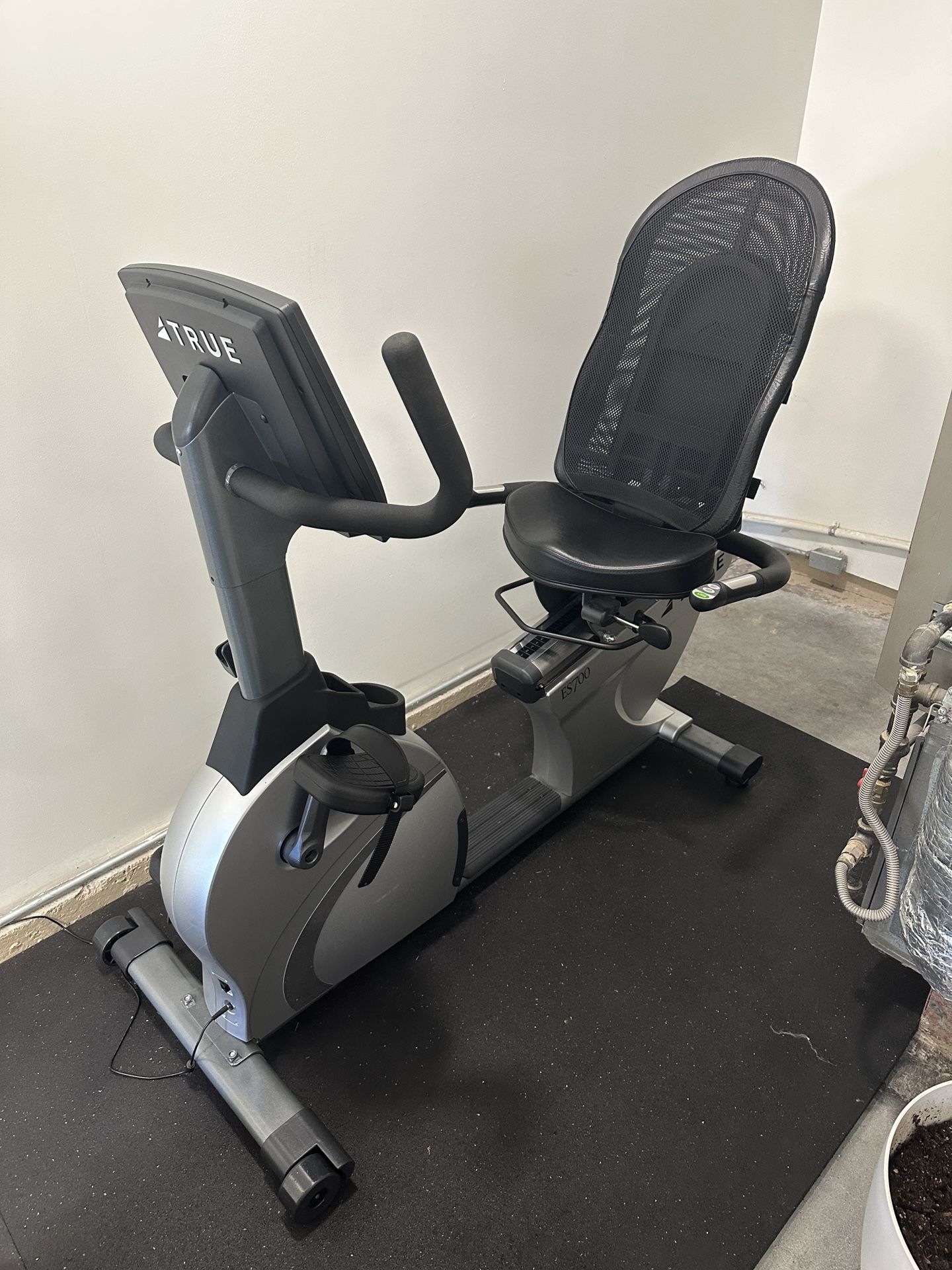 True Recumbent Stationary Bike
