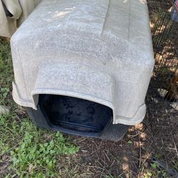 Dog House 