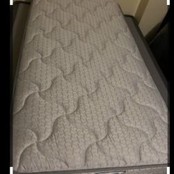 Sealy Twin Mattress And Box Spring