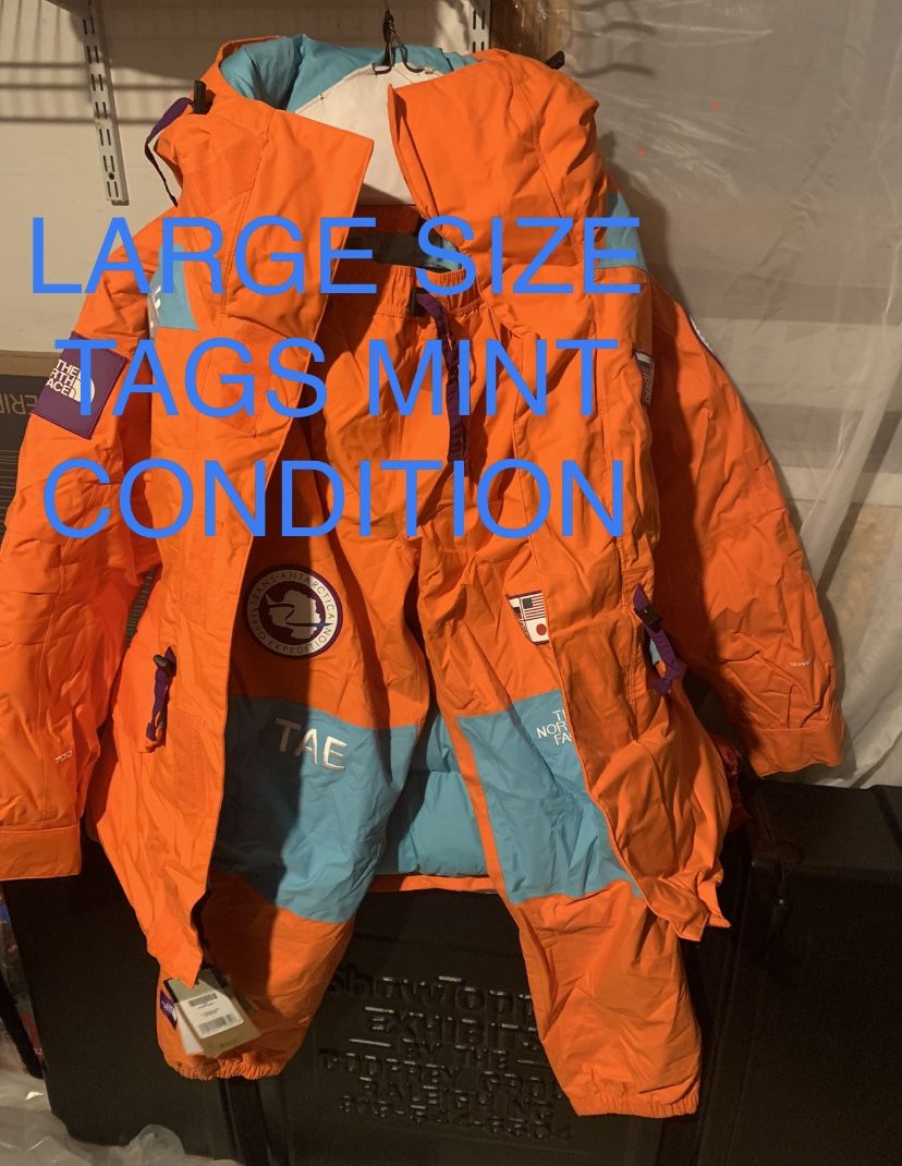 NORTH FACE TAE PARKA