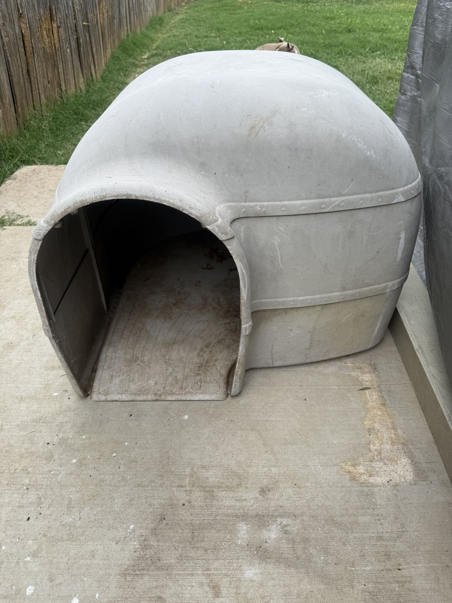 Igloo dog house