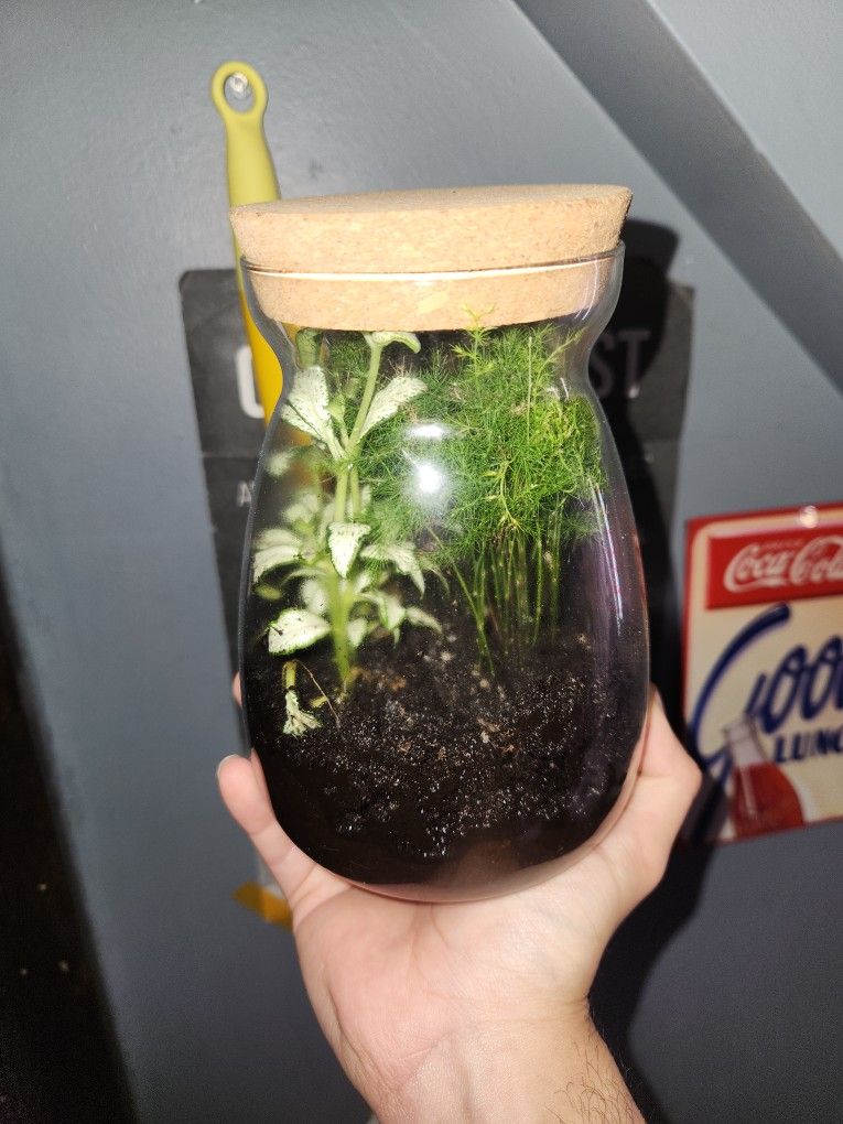 Terrarium