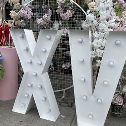 4 ft Light up marquee Letter