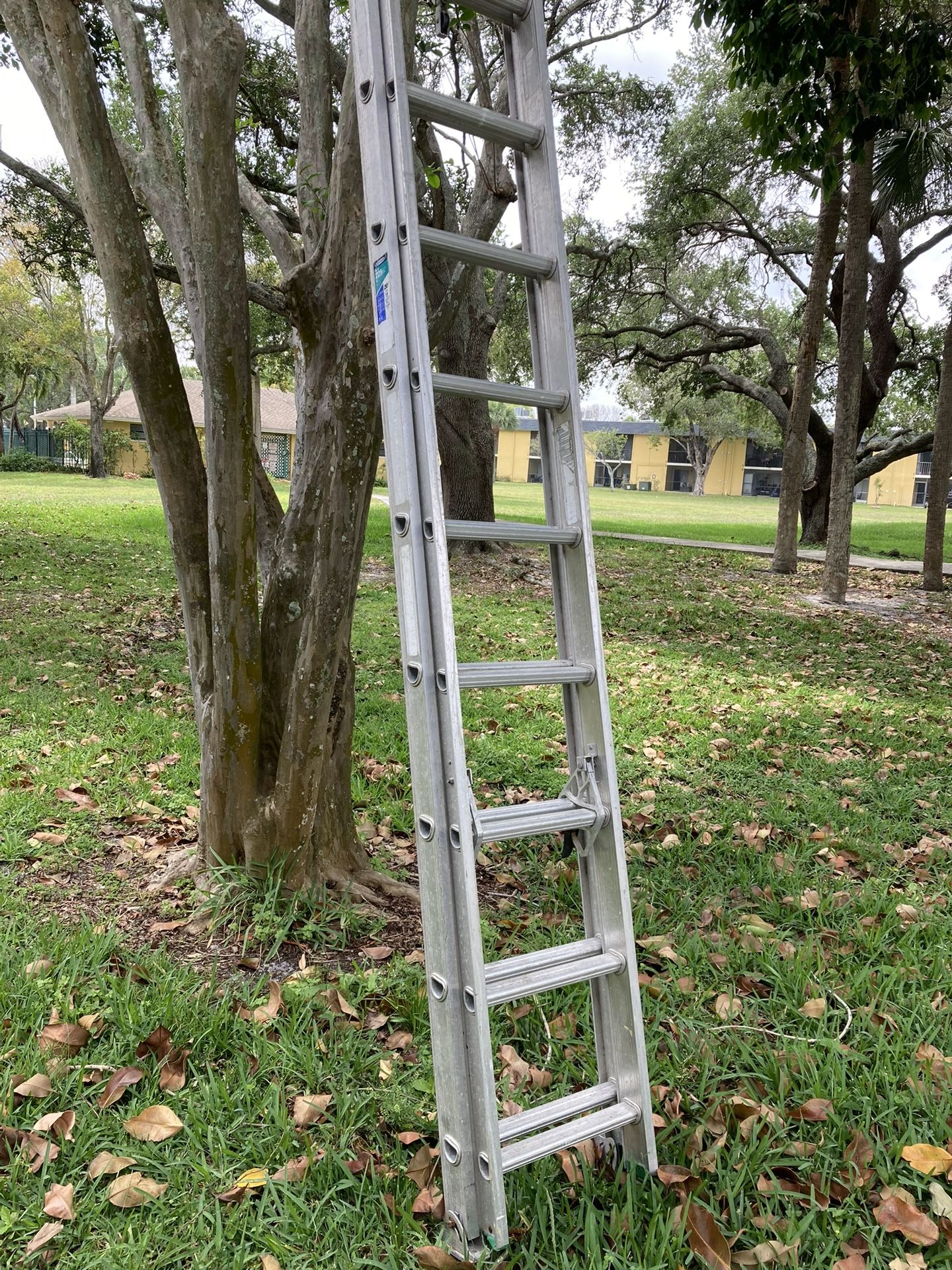 Ladder