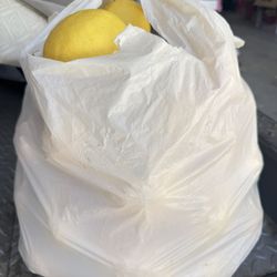 Bag of lemons $10