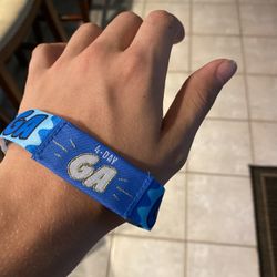 Lollapalooza 4 Day Authentic Pass