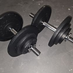 Adjustable Dumbells and Plates