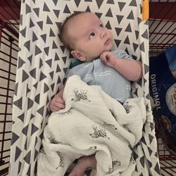 Binxy Baby Cart Hammock 