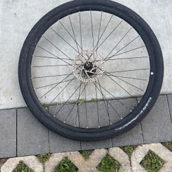 28” giant Bicycle Wheel And Tire, I Believe It’s All Original