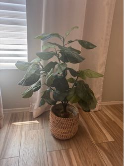 Faux Fiddle Leaf Plant