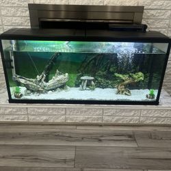 55 Gallon Fish Tank Comes With Everything 