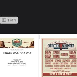 Country Thunder Single day Any-Day GA