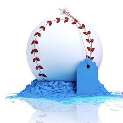 Baseball BOY Gender Reveal Ball - ONLY BLUE POWDER