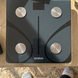 Renpho Scale 