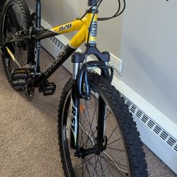 Trek Mountain Bike