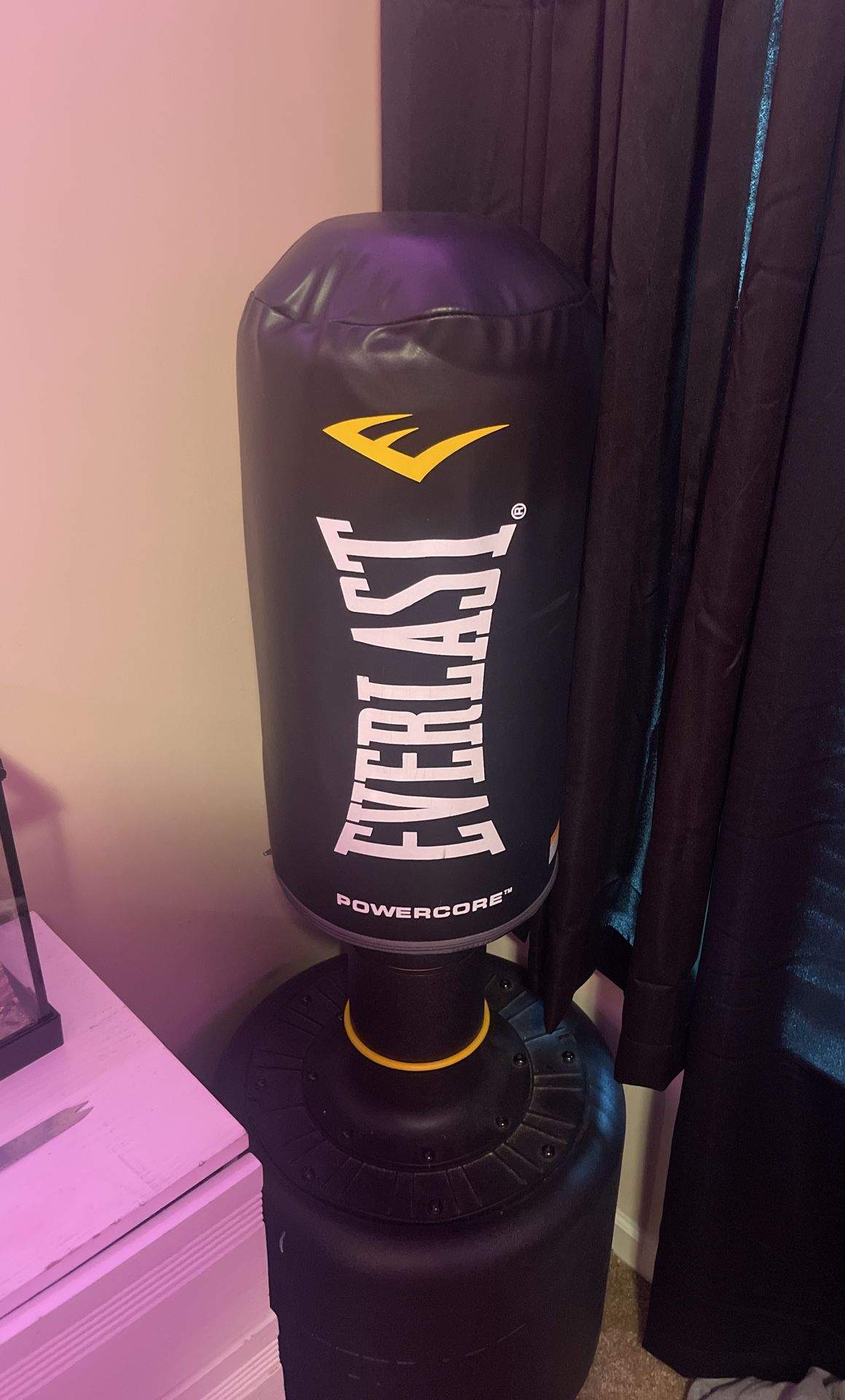 Everlast Boxing Bag