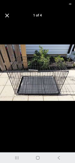 Folding Wire Dog Crate with Tray