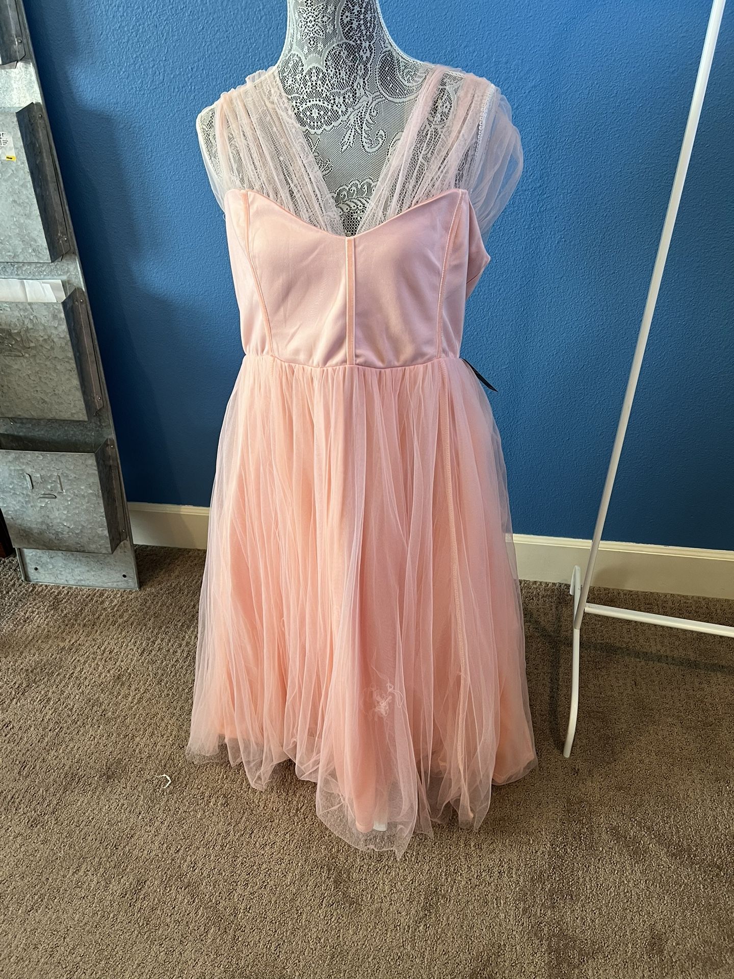 Pink Tulle Torrid Dress NWT