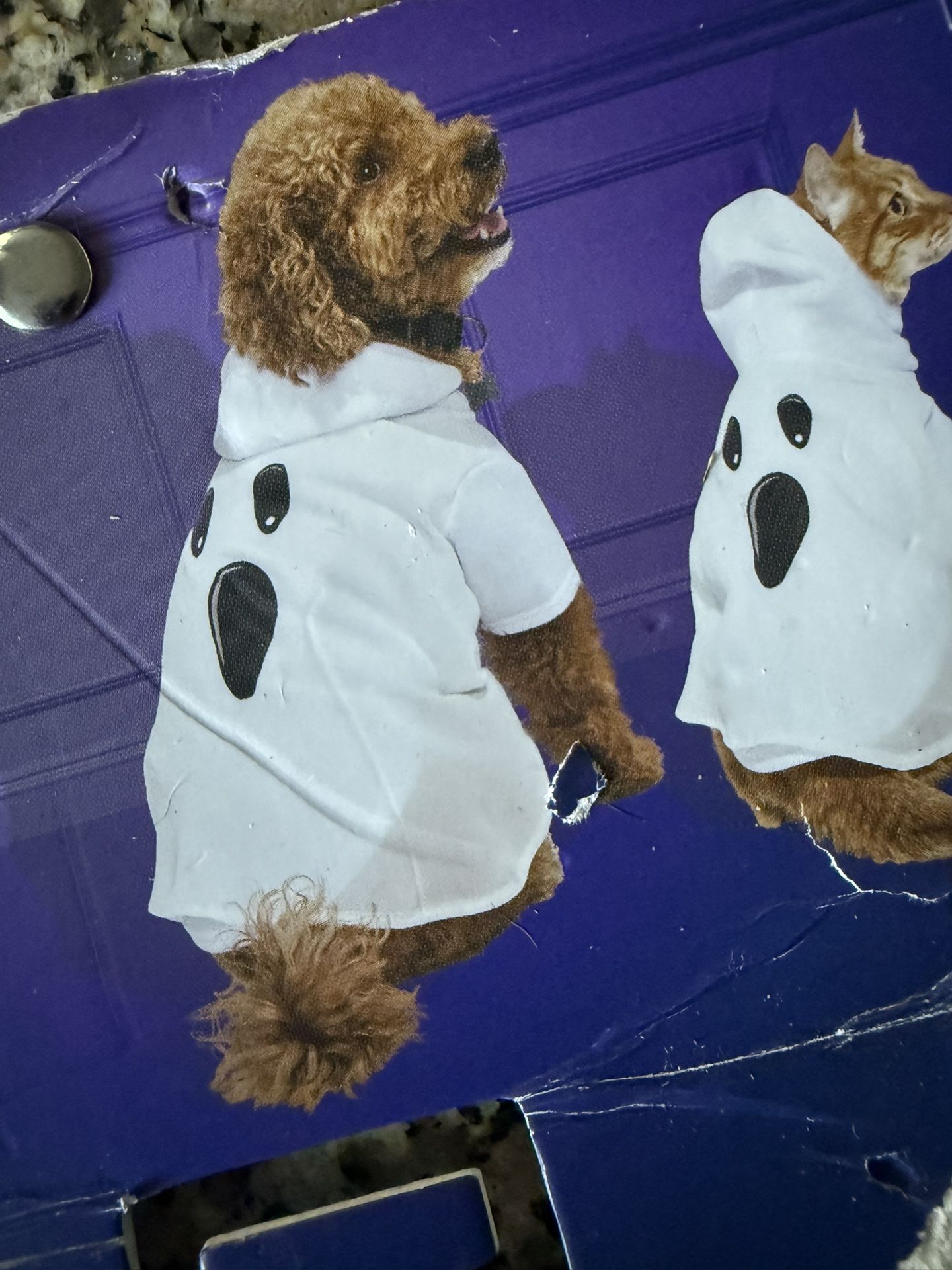 Dog Costume- Ghost
