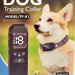 Dog Traing Collar