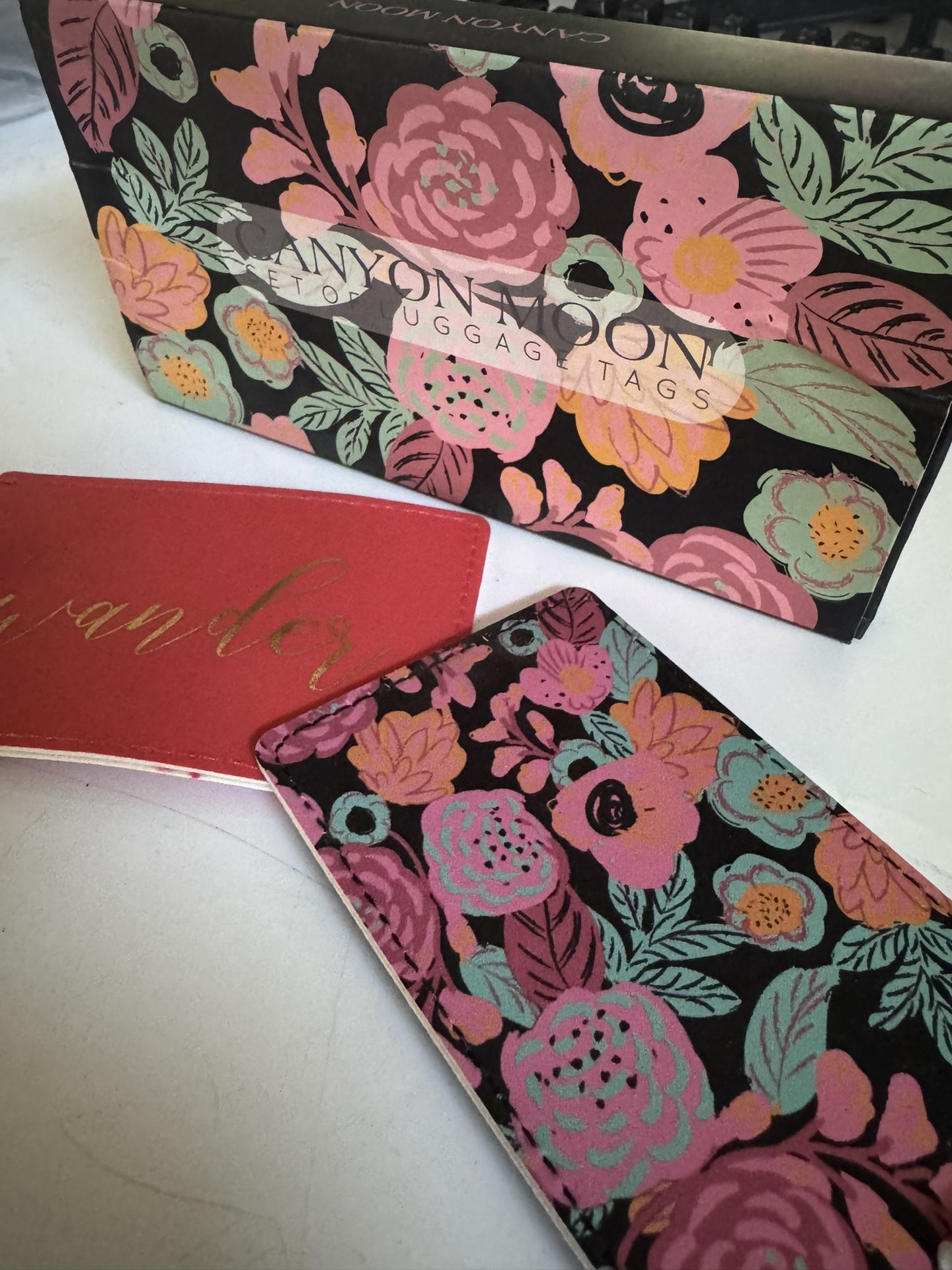 Canyon moon set of luggage tags