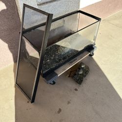 Reptile Aquarium