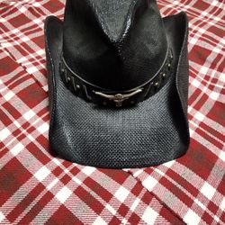 Adult Woven Straw Longhorn Western Outback Hat