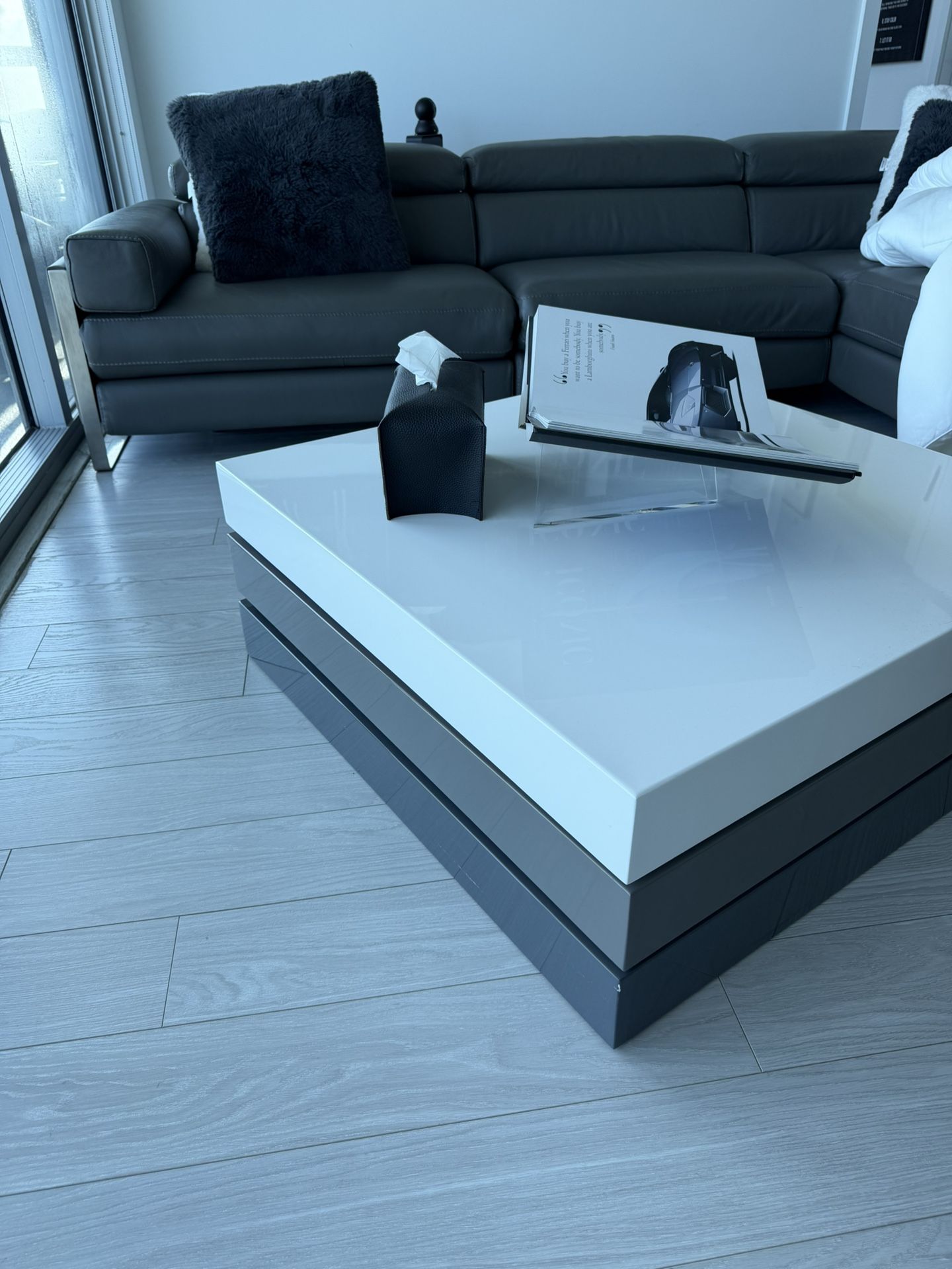 COFFEE TABLE WITH STORAGE!