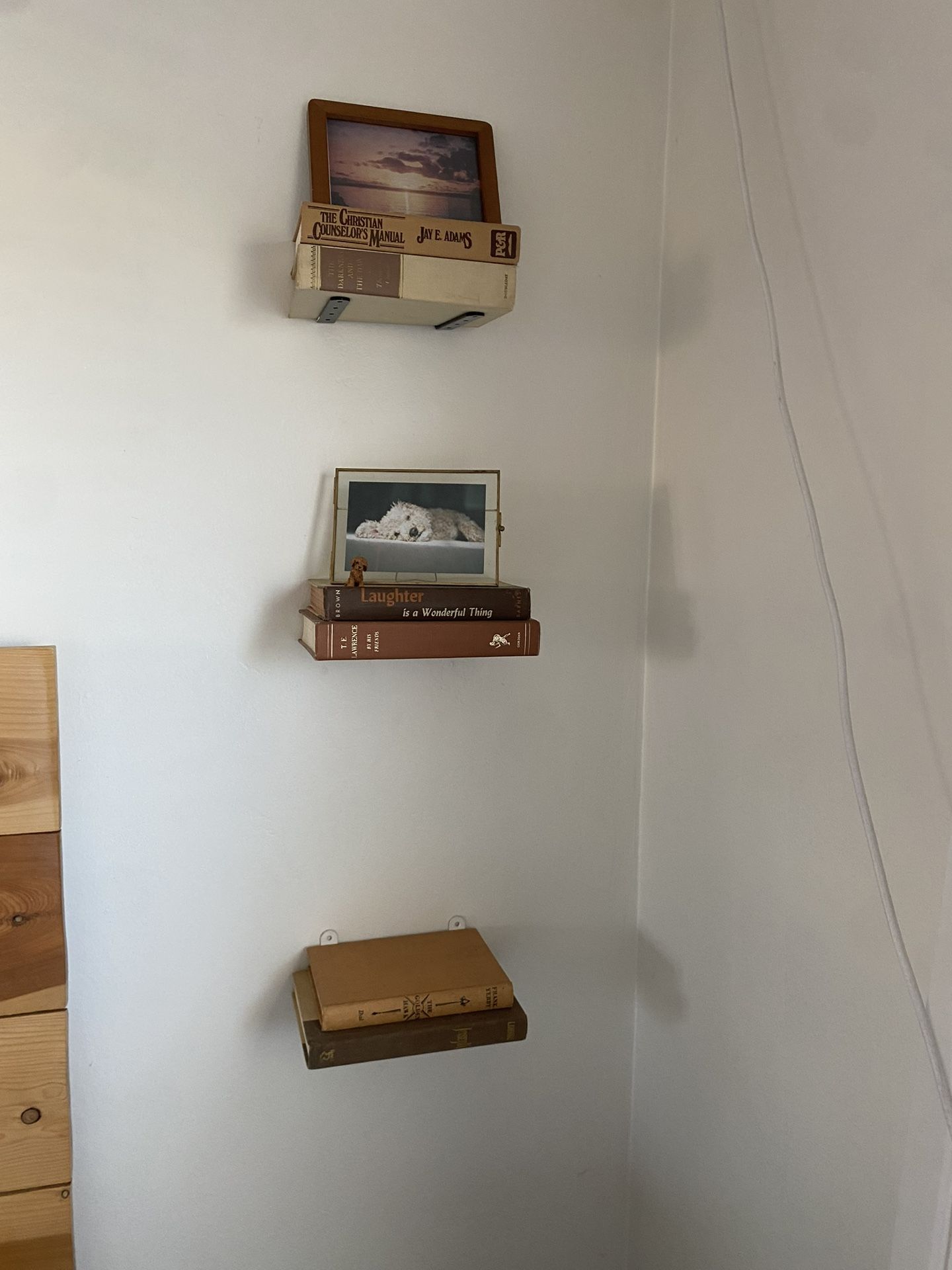 Floating Book Shelves with Books