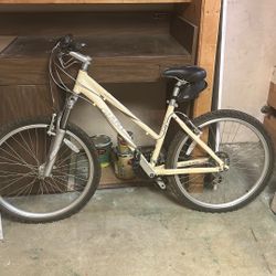 Giant Mountain Bike