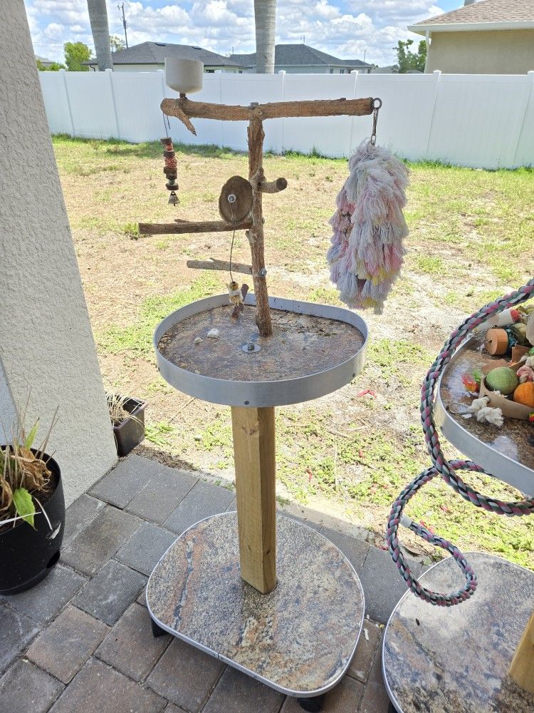 Small Bottlebrush Bird Perch