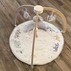 aden + anais Play+Discover Activity Gym