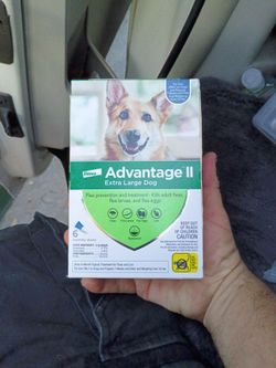 Flea prevention and treatment
