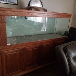 250 Gallon Aquarium 