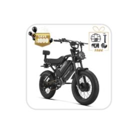 HappyRun G70 Pro Dual-Motor Dual-Battery Electric Cargo Bike × 1