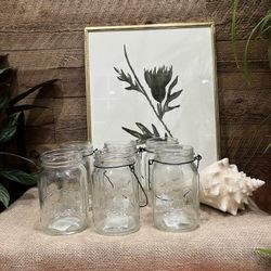 New 6 Clear Glass Fleurs Jars Handle Flowers Vase Farmhouse Wedding Party Decor Shower 
