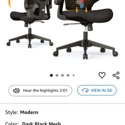 Computer Chair - Very Adjustable