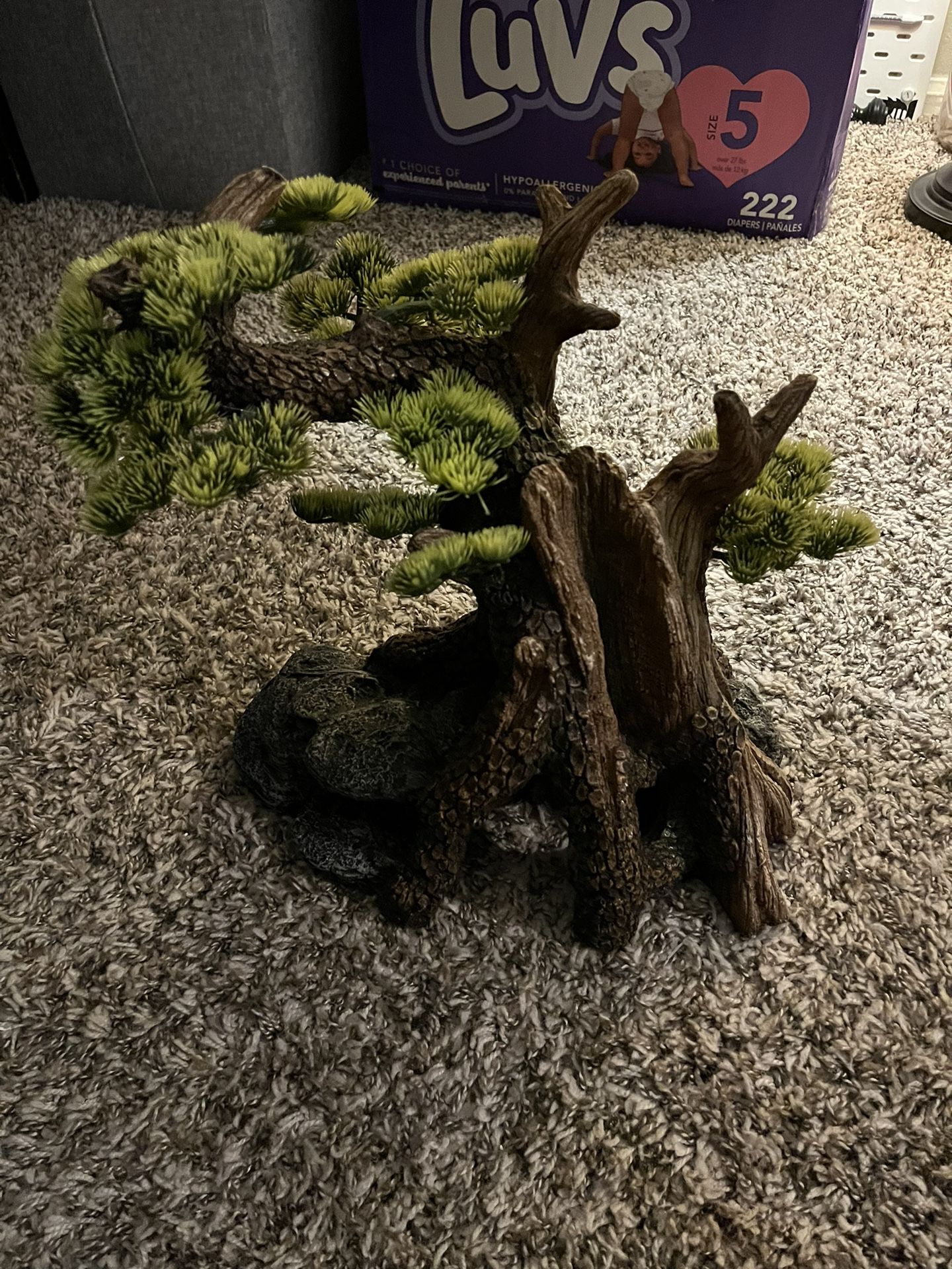 Fish or Reptile decor
