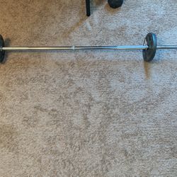 Screw In Barbell With 10 Pound Weights 